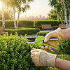 Секатор с наковальней Palisad, 2-компонентные рукоятки, 210мм купить в СОМ