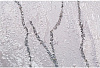 Обои виниловые на флизелиновой основе 72199-44SL PALITRA STYLE Furin, 1.06 х 10.05 м . купить в СОМ